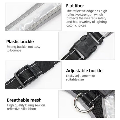 Hundsele lysande Vattentät eprolo