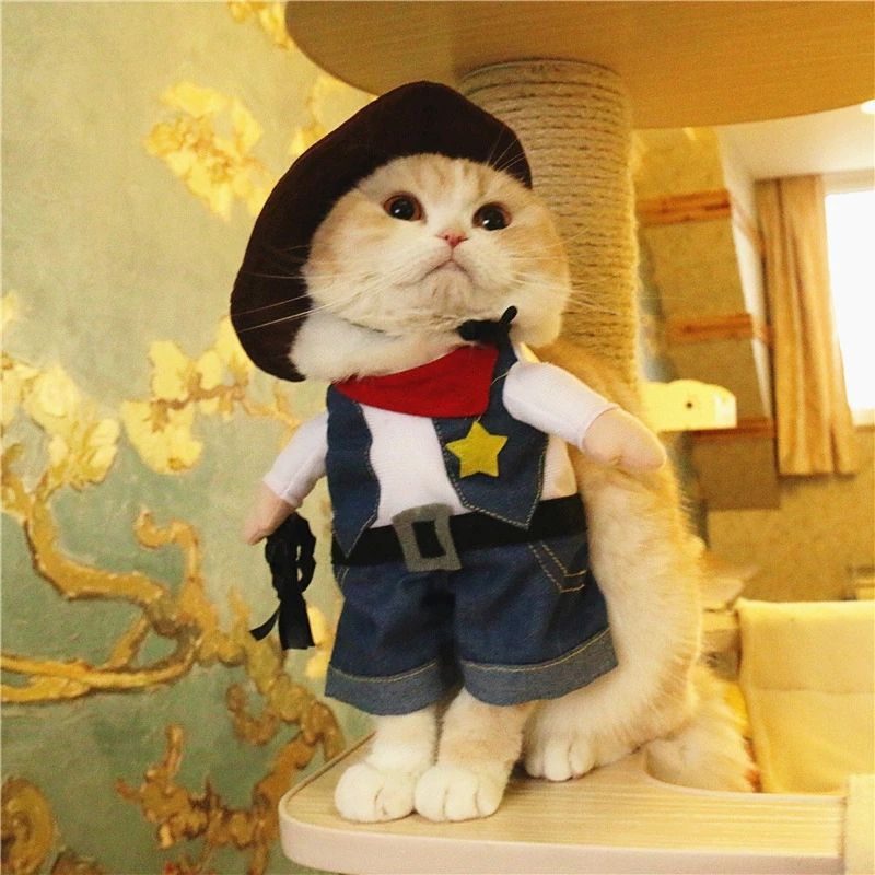 Cowboy Katt Kostym eprolo